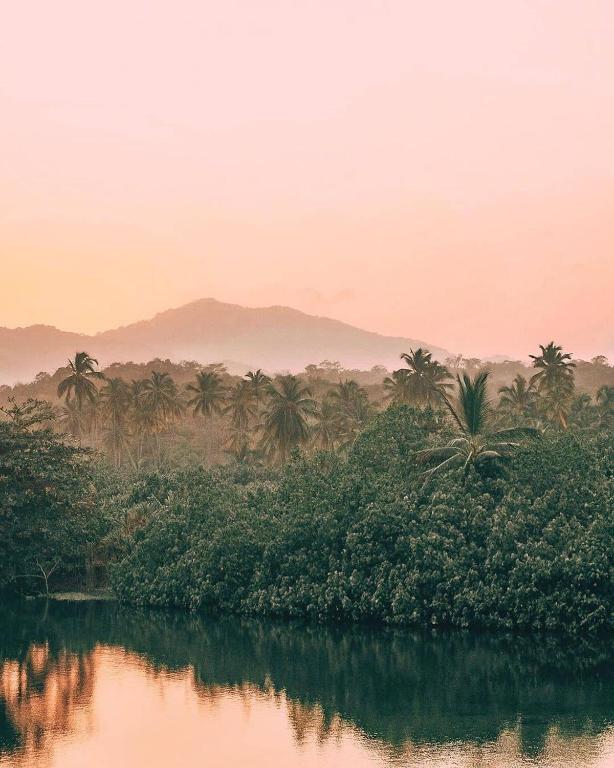 Pink sunrise over the jungle and the Sierra Nevada