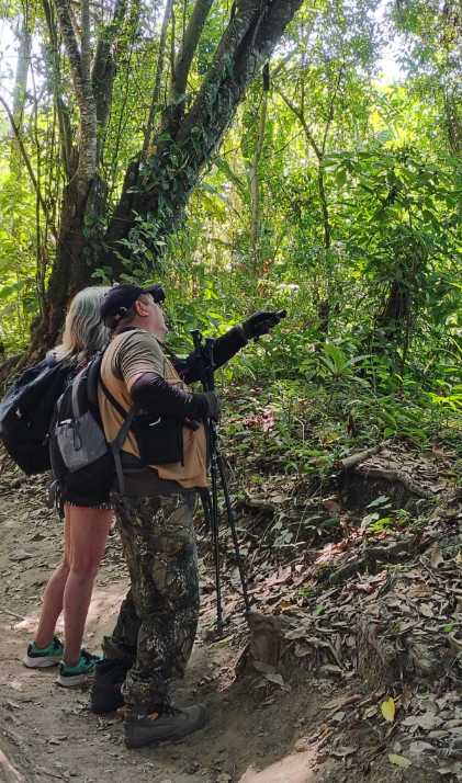 Wildlife watching in Tayrona Park