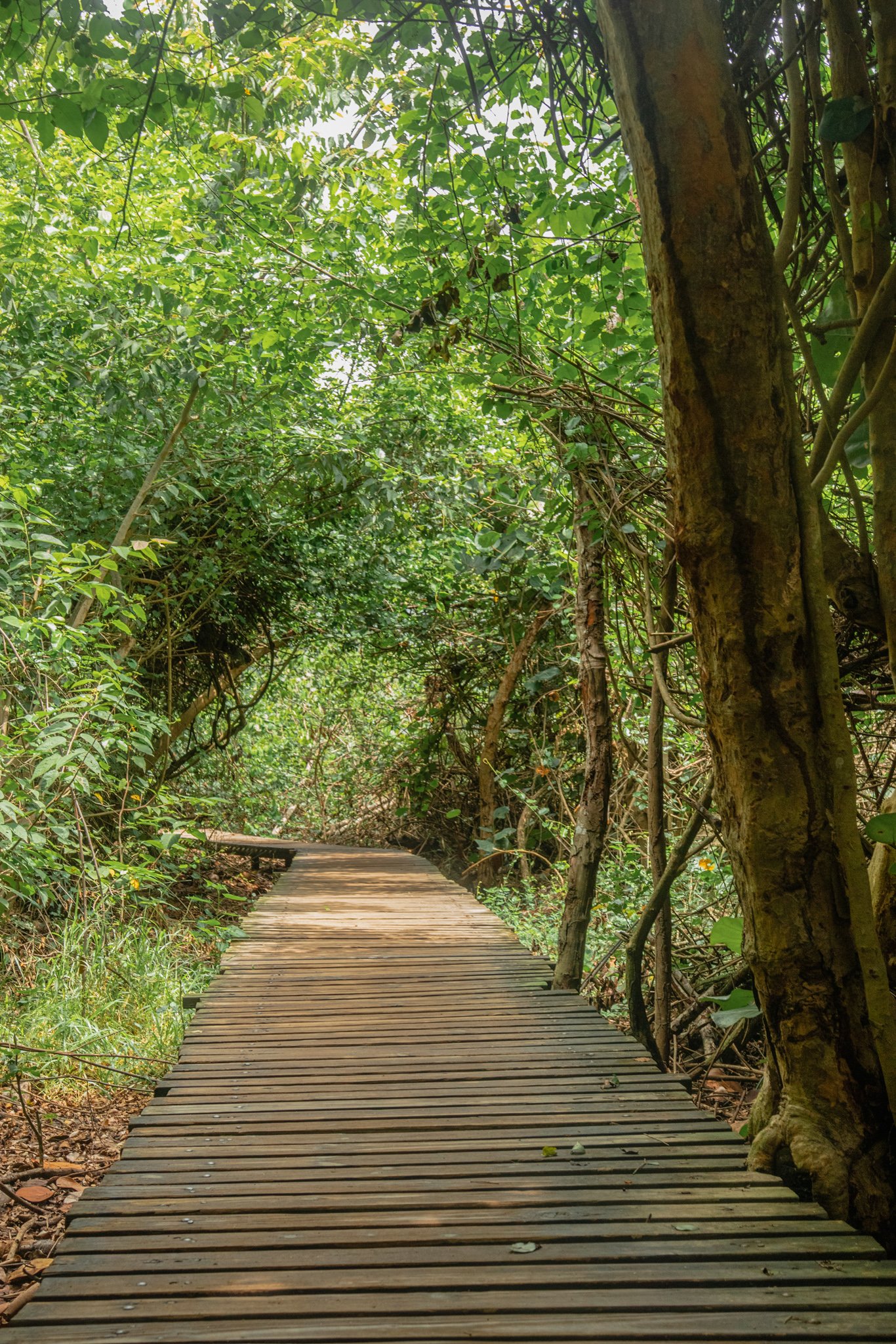 Hiking in Tayrona Park