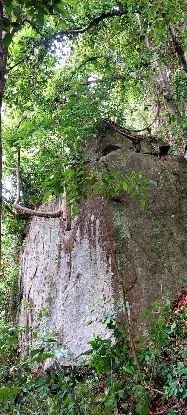 The huge rock that shelters the cave