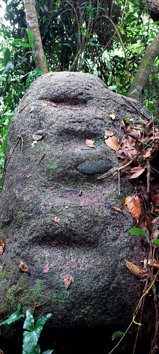 Stone carved by the ancient Tayrona