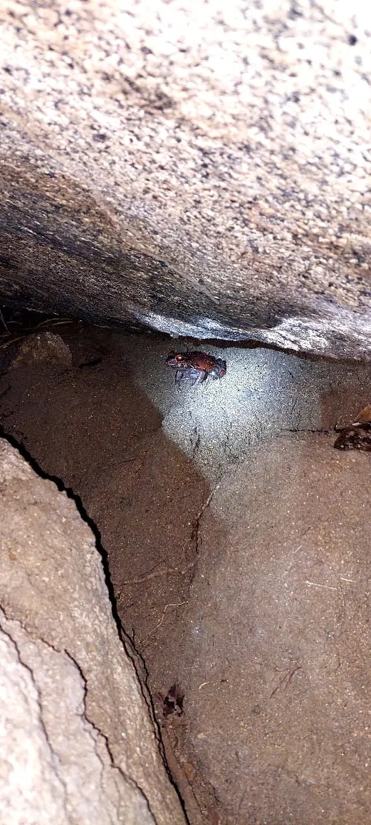 Entrance to the natural cave