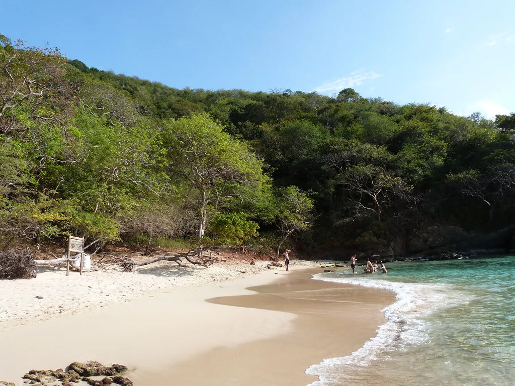 White sand and forest down to the sea