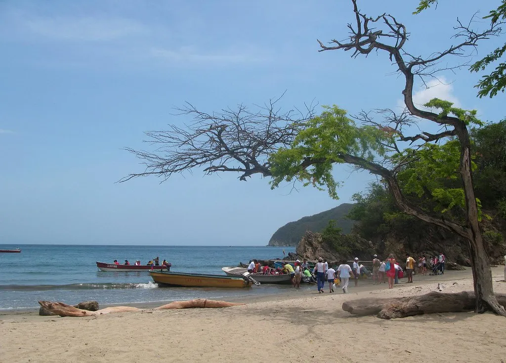 Natural shade on the beach
