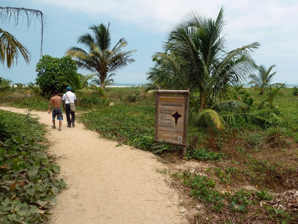 The trail to the beaches